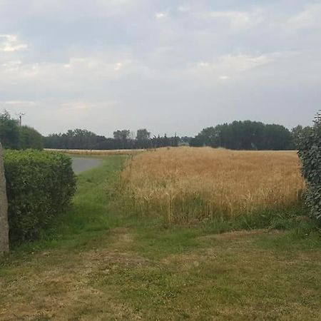 Gite 3 Places Au Coeur Du Tregor Langoat Eksteriør billede